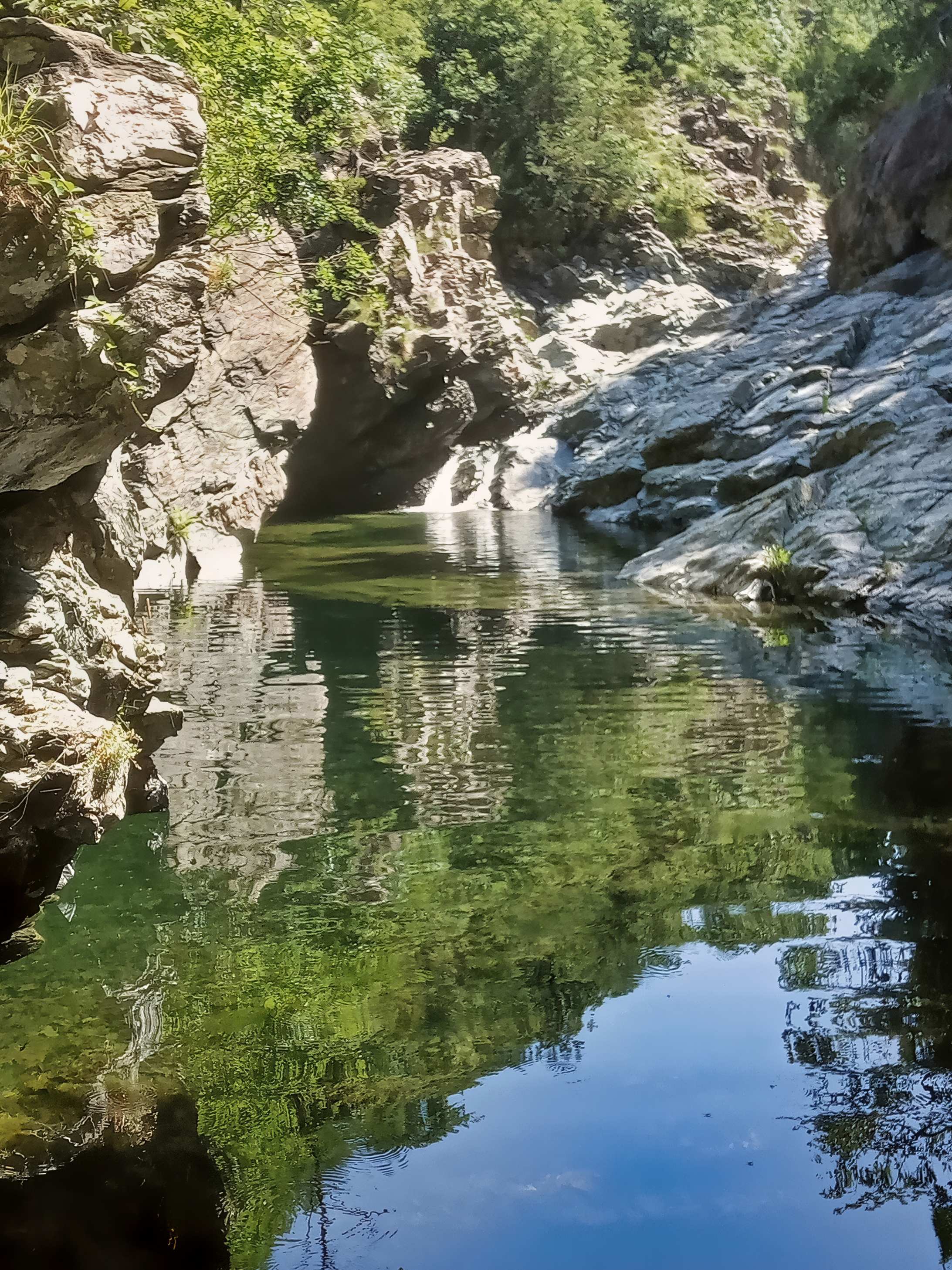 La Natura