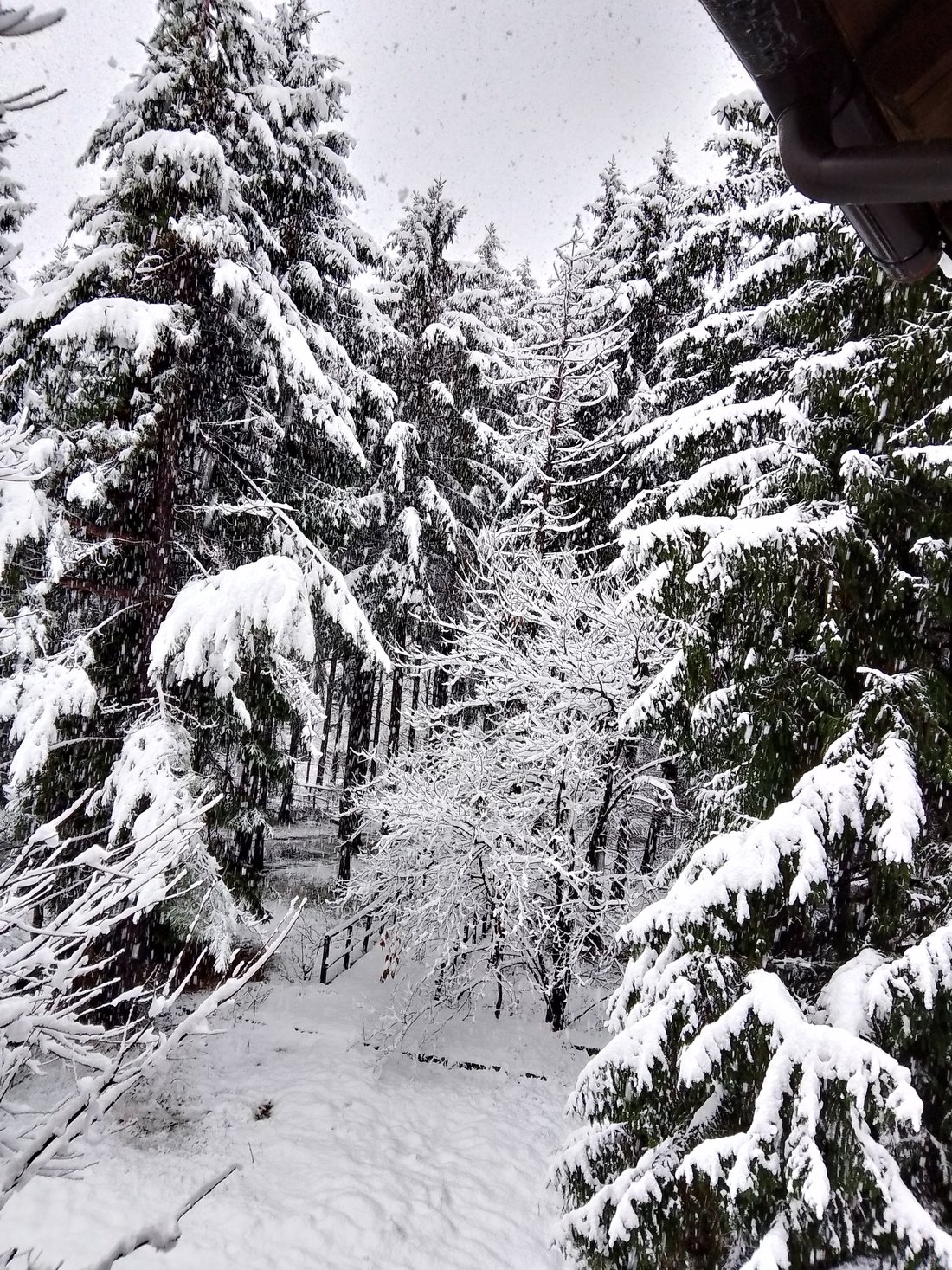 Il fascino dell'inverno
